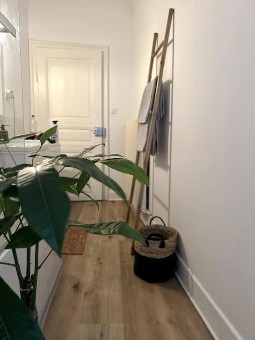 Appartement Cosy Et Lumineux Avec Parking Gratuit 콜마 외부 사진
