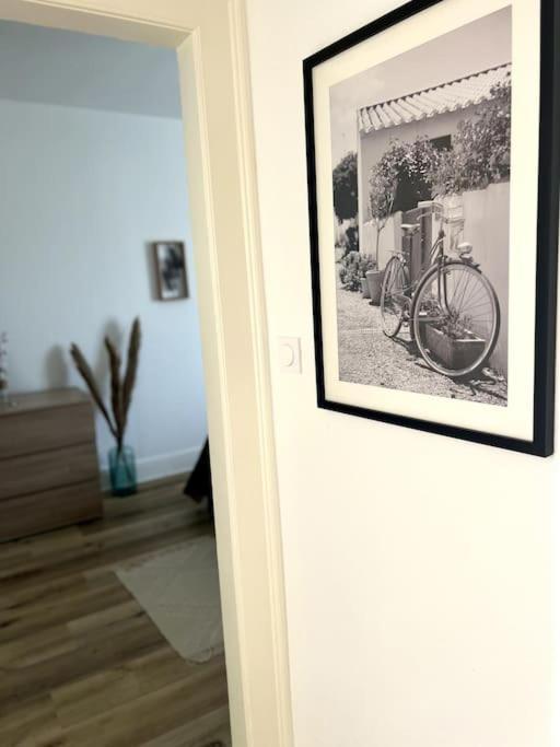 Appartement Cosy Et Lumineux Avec Parking Gratuit 콜마 외부 사진