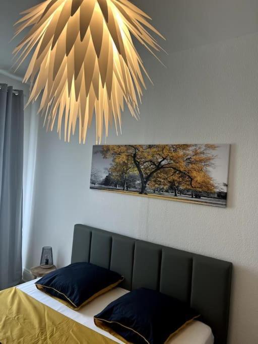 Appartement Cosy Et Lumineux Avec Parking Gratuit 콜마 외부 사진